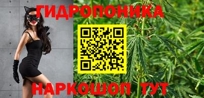 спайс Аргун