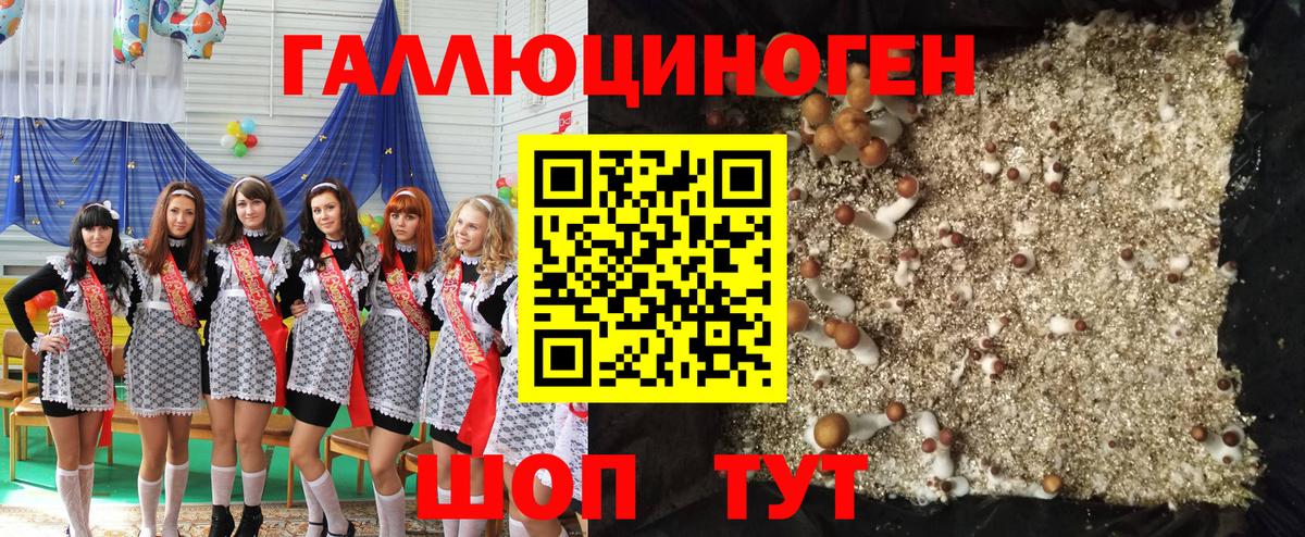 Галлюциногенные грибы Cubensis Белая Калитва